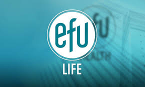 Affordable Life Insurance Plans In Pakistan
